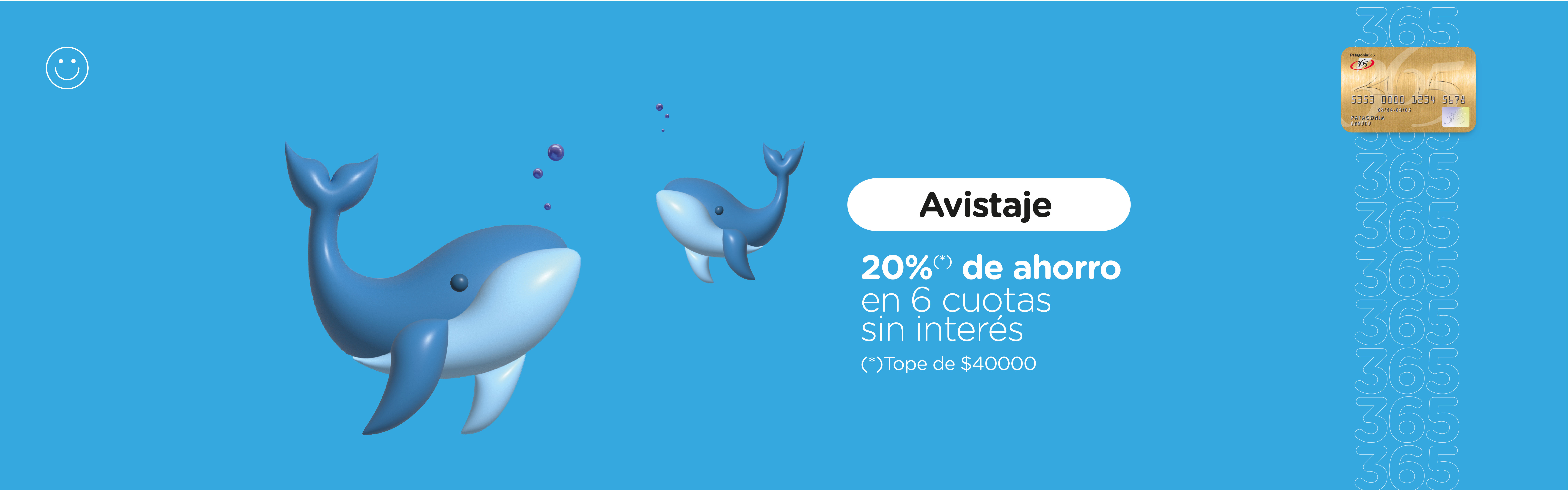 promo ballenas