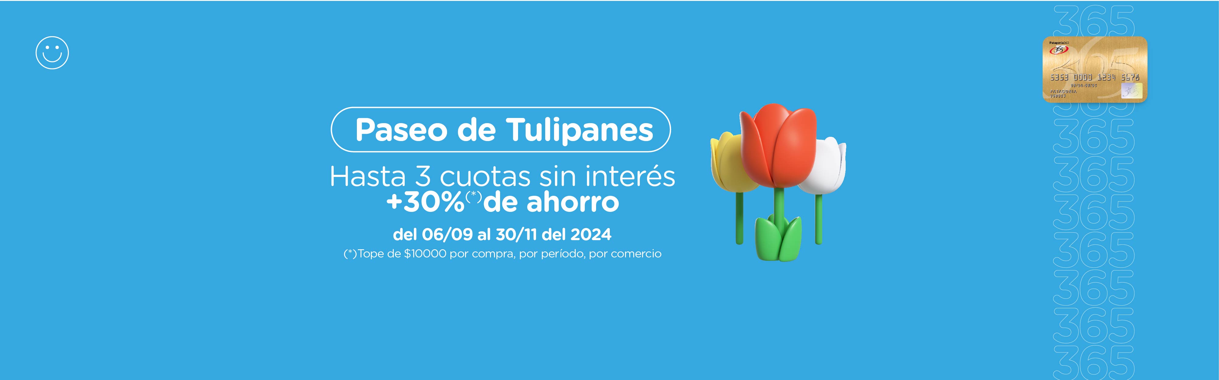 tulipanes